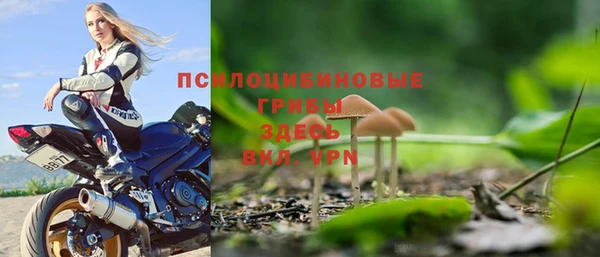 МДПВ Армянск