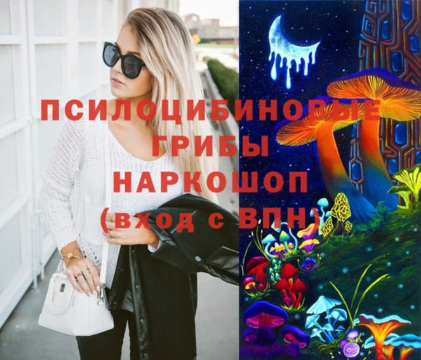 МДПВ Армянск