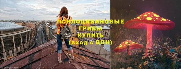 соль ск Аркадак